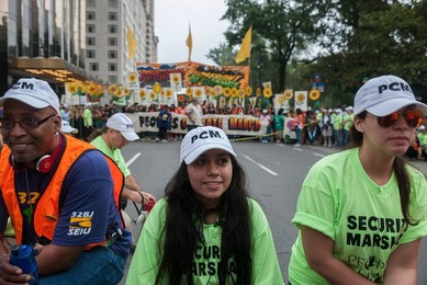 Image 206286289