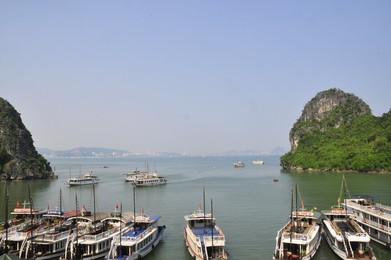 Image 206502984