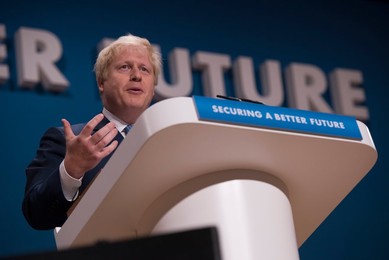 Image 206955356