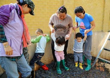 Image 207251881