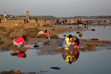 Image 207255263