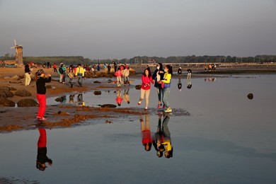 Image 207255266