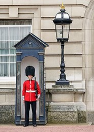 Image 207413878