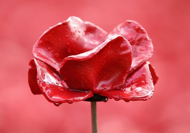 Image 208366390