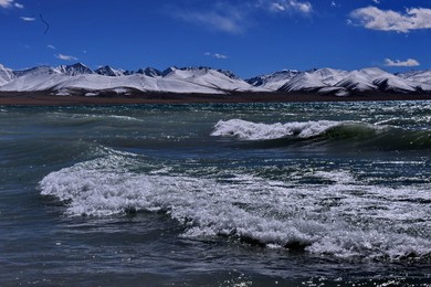 Image 208577828