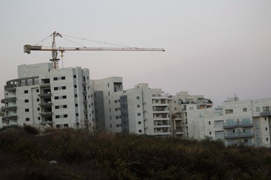 Image 209286360