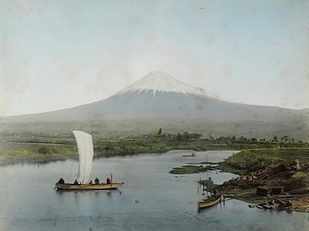 Image 210335278