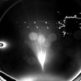 Image 210757683