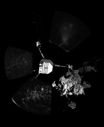 Image 210828208