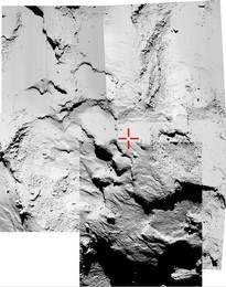 Image 210828211