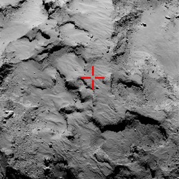 Image 210828216
