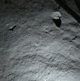 Image 210828217