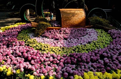Image 211174576