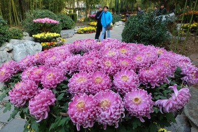 Image 211174577