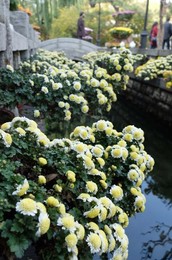Image 211174765