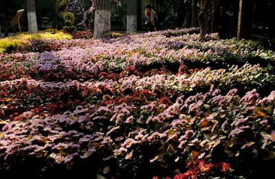 Image 211174766
