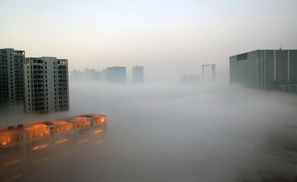 Image 211415254