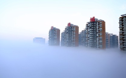 Image 211415259