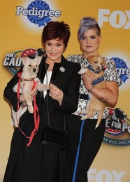 Foxs Cause For Paws An All Star Dog Spectacular 112214