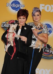 Foxs Cause For Paws An All Star Dog Spectacular 112214