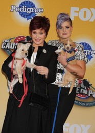 Foxs Cause For Paws An All Star Dog Spectacular 112214