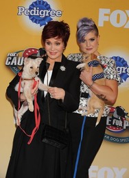 Foxs Cause For Paws An All Star Dog Spectacular 112214