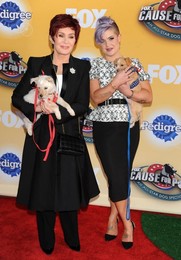 Foxs Cause For Paws An All Star Dog Spectacular 112214