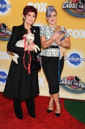 Foxs Cause For Paws An All Star Dog Spectacular 112214