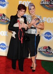 Foxs Cause For Paws An All Star Dog Spectacular 112214