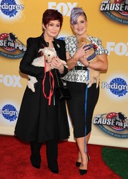 Foxs Cause For Paws An All Star Dog Spectacular 112214