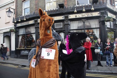 Image 213194877