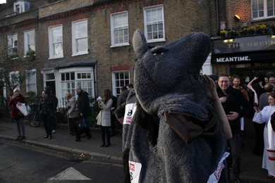 Image 213195004