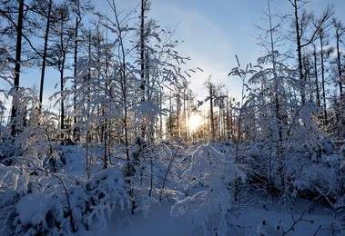 Image 214182008