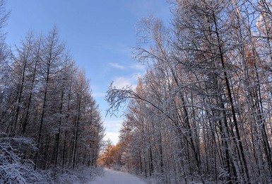 Image 214182009