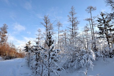 Image 214182107