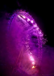 Image 214334996