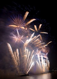 Image 214341026