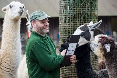 Annual weigh in of animals at London zoo