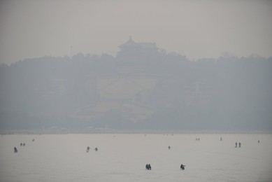 Image 215321774