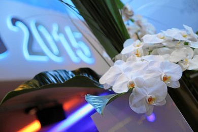 Impression of flowers at the Annual Meet..........