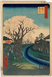 Image 217998446
