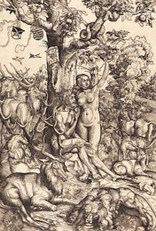 Image 218011947