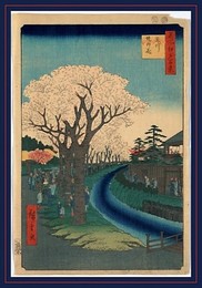 Image 218012262