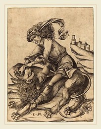 Image 218021914