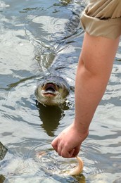 Image 218169120
