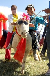Image 218630908