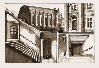 Image 220581644
