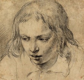 Image 220630255