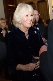 Image 221090928