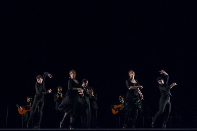 Image 222120415